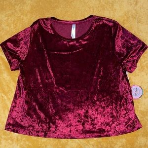Red/Maroon Velvet Short Sleeve Tee (Crop)